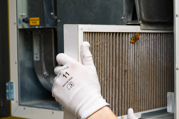 Best Affordable Air Duct Cleaning  in Lockport, LA